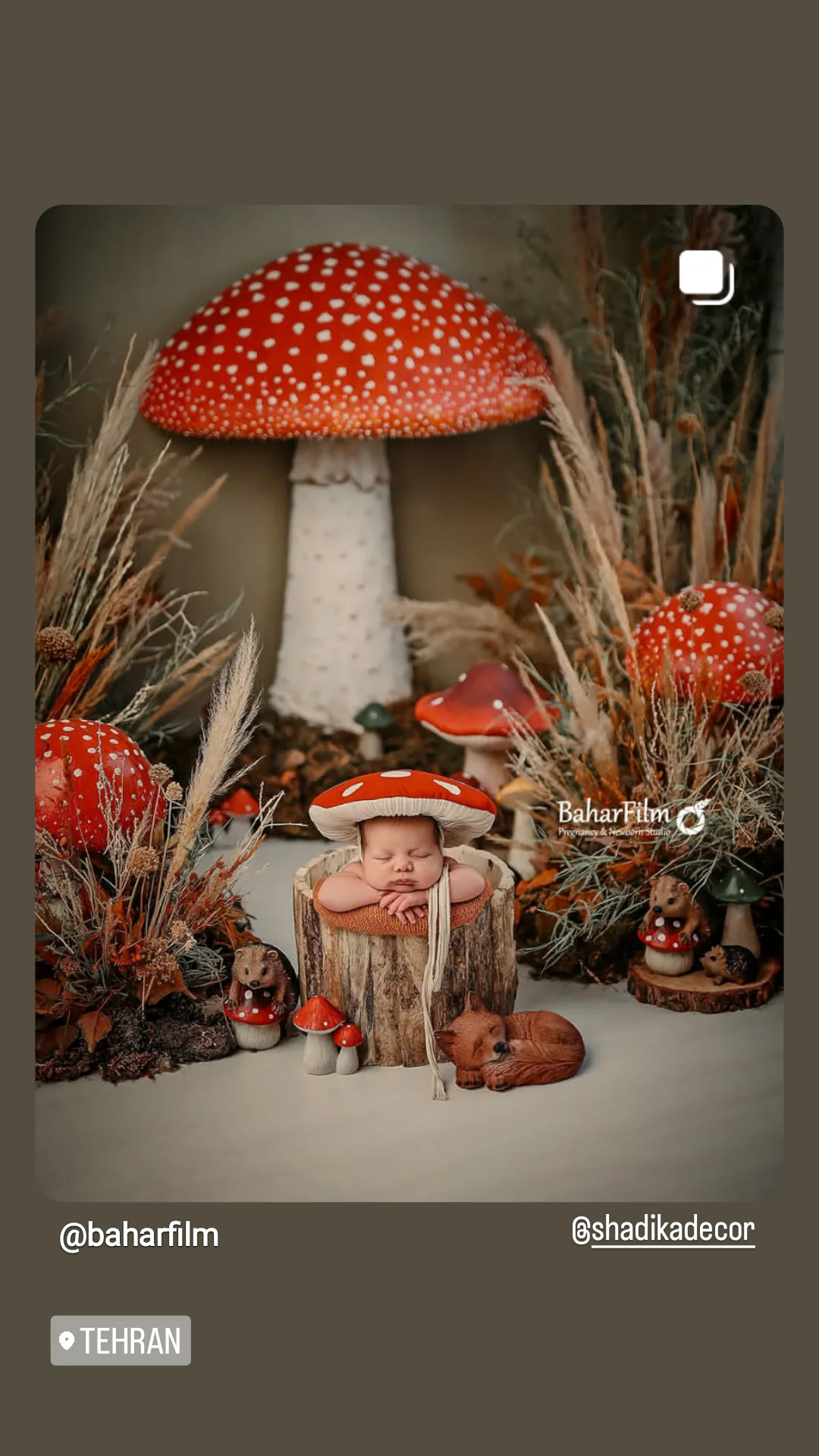 ماکت قارچ در ارتفاع‌های مختلف - سفارش آتلیه کودک بهار فیلم تهران