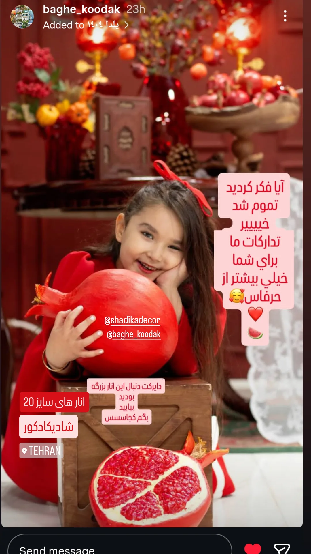 رضایت مشتری شادیکادکور - ماکت انار باغ کودک