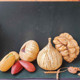 میوه ها و اجیل