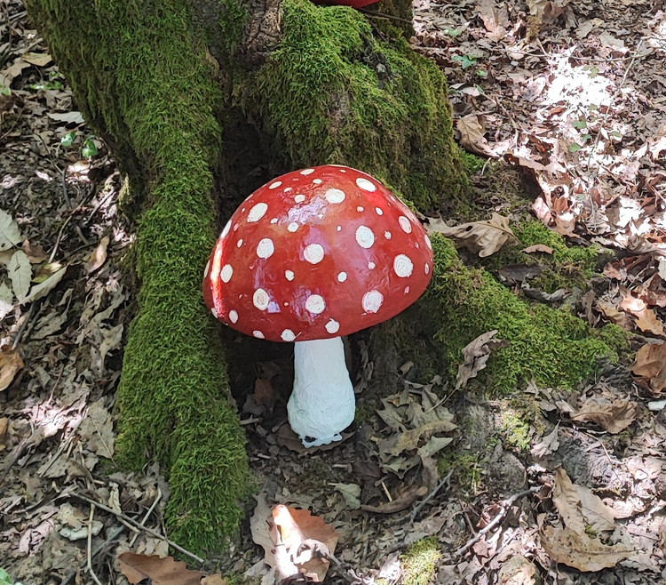 قارچ پاپیه ماشه سه بعدی