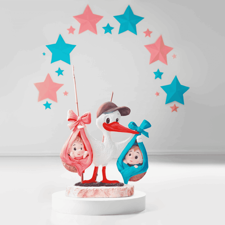 در این تصویر یک دکور جذاب برای تعیین جنسیت نوزاد دیده میشود. لکلکی در مرکز تصویر قرار دارد که در دو طرف خود سبدهایی با نوزاد دارد؛ یکی با روبان صورتی برای دختر و دیگری با روبان آبی برای پسر. با پس زمینه ستاره های صورتی و آبی