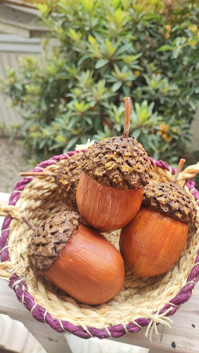 ماکتهای بزرگ بلوط با طراحی طبیعی در سبد حصیری، مناسب برای دکور پاییزی، ویترین فروشگاه یا تزئینات کافه