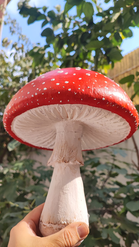 ماکت قارچ یه متری با تمام جزییات یک قارچ واقعی قارچهای کامل ۳۰ سانتی متری