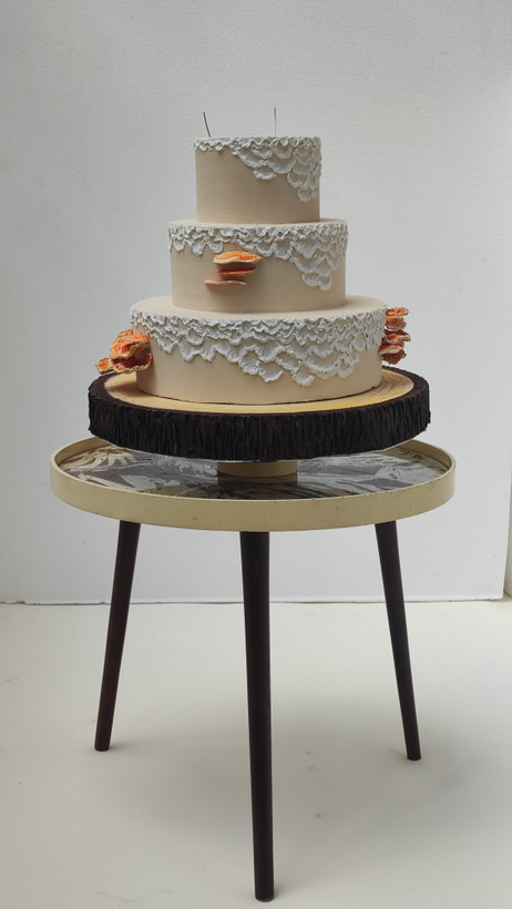 ماکت کیک خام با طراحی قارچی، شامل قارچهای قرمز خالدار و بافت شبهچوب؛ ساختهشده برای تم آتلیه کودک