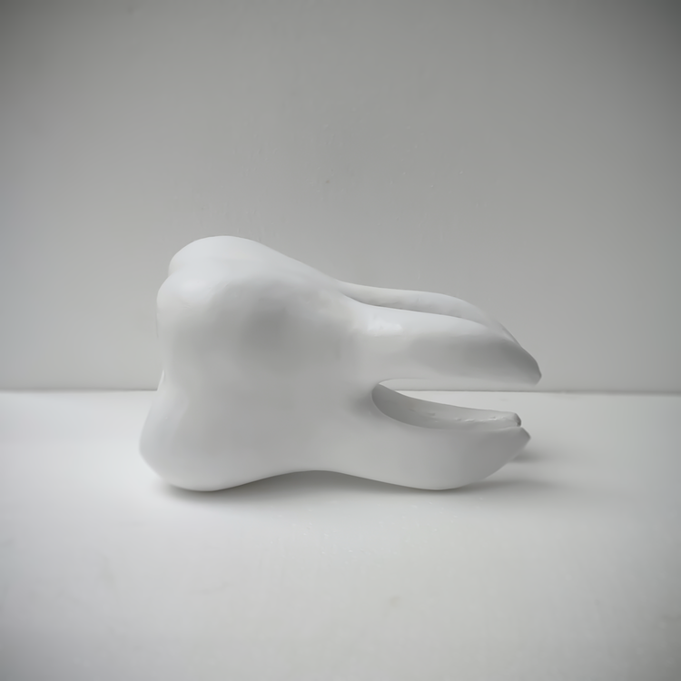 ماکت دندان سه بعدی نیم متری از نمای جانبی