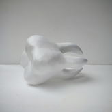 ماکت دندان نیم متری سه بعدی خوابیده