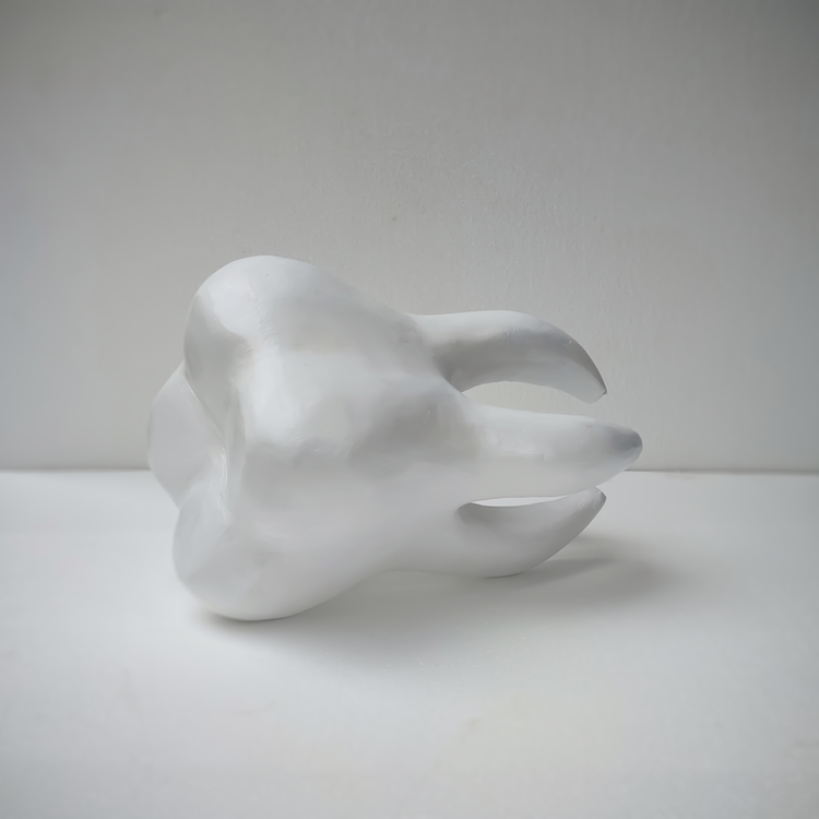 ماکت دندان نیم متری سه بعدی خوابیده