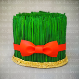 ماکت های سیب سبزه و سیر در سایز بزرگ