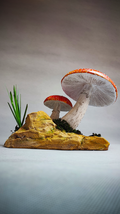 ماکت قارچ دکوری از نمای پایین