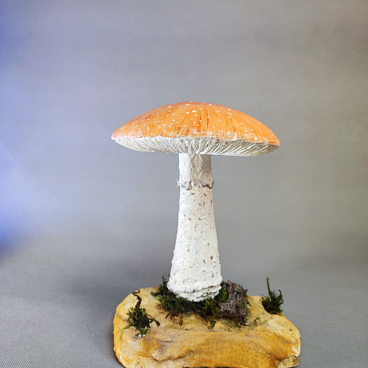 ماکت قارچ طبیعی زرد رنگ
