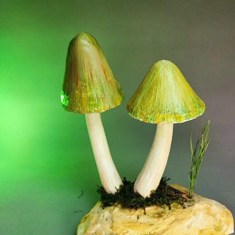 ماکت قارچ از نمای بالا