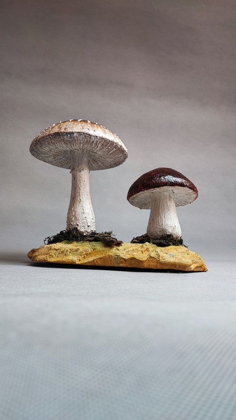 ماکت قارچ از نمای جانبی