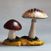 ماکت قارچ طبیعی